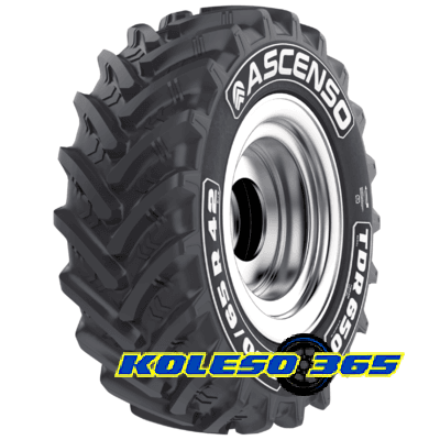 Ascenso TDR 650 (с/г) 420/65 R20 135D